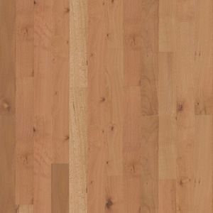 7778-main-sampleproduct Produktmuster Basic Massivstab Buche rustikal